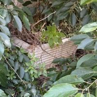 Vasi creta e cemento