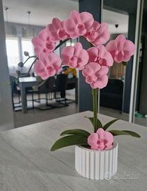 Vaso con Orchidea