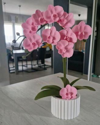 Vaso con Orchidea