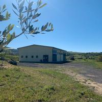 Capannone agricolo con terreni