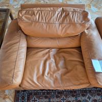 Poltrone Frau modello Petronio certoficato di gara