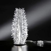 SLAMP CACTUS