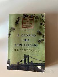 Il giorno che aspettiamo Jill Santopolo