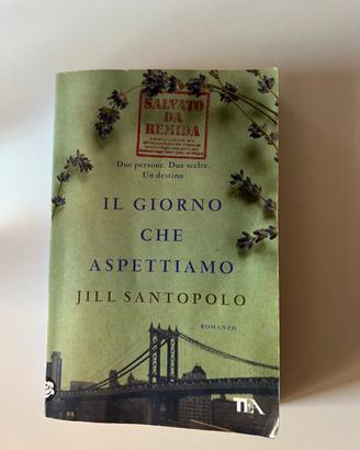 Il giorno che aspettiamo Jill Santopolo