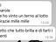 Immagine 7