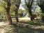Immagine 8