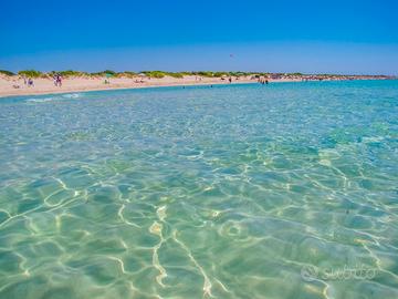 A SOLI 100mt dalla spiaggia Pescoluse SETTEMBRE
