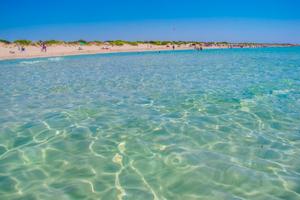 A SOLI 100mt dalla spiaggia Pescoluse SETTEMBRE