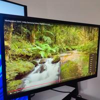 Monitor AOC 24", 2560x1440p 165Hz