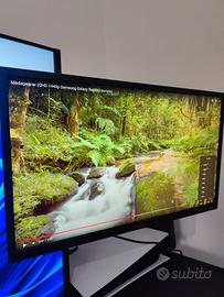 Monitor AOC 24", 2560x1440p 165Hz