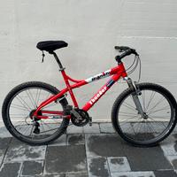 Mountain bike
