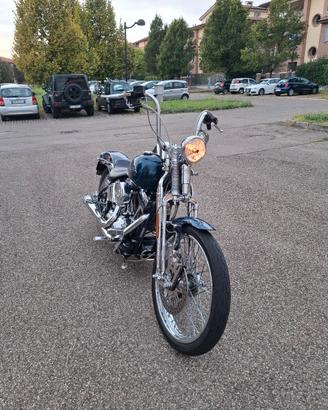 p.ermu.to harley springer softail 1450 efi 2001 