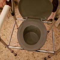 Sedia water spostabile per anziani pieghevole