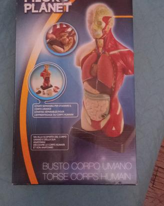 Giochi