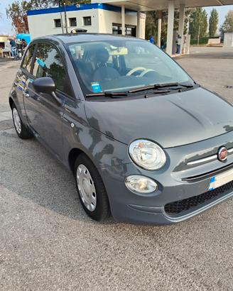 500 HYBRID  CULT A GAS 