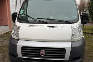 Ducato maxi
