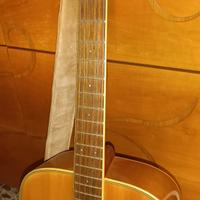 Chitarra Yamaha 12 Corde 