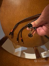 Cavi compatibili Naim pin to RCA
