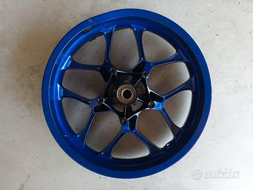CERCHIO ANTERIORE R1 2015/2024