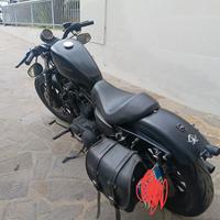 Harley Davidson 883 iron