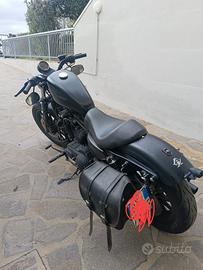 Harley Davidson 883 iron