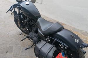 Harley Davidson 883 iron