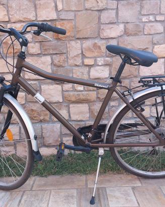 Bicicletta uomo ammortizzata 28" Denver Westwood