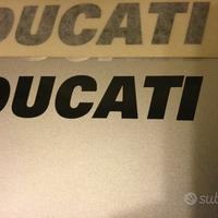 Adesivo ducati scritta nera serbatoio