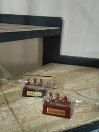 Coppia caravelle in vetro dentro bottiglia