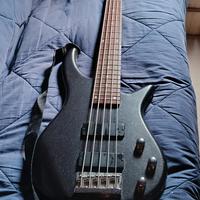 basso 5 corde cruizer 