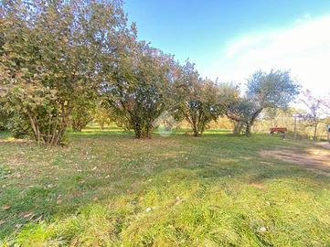 TER. AGRICOLO A CAPRAROLA