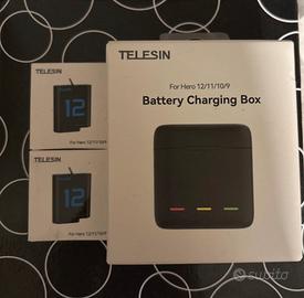Telesin