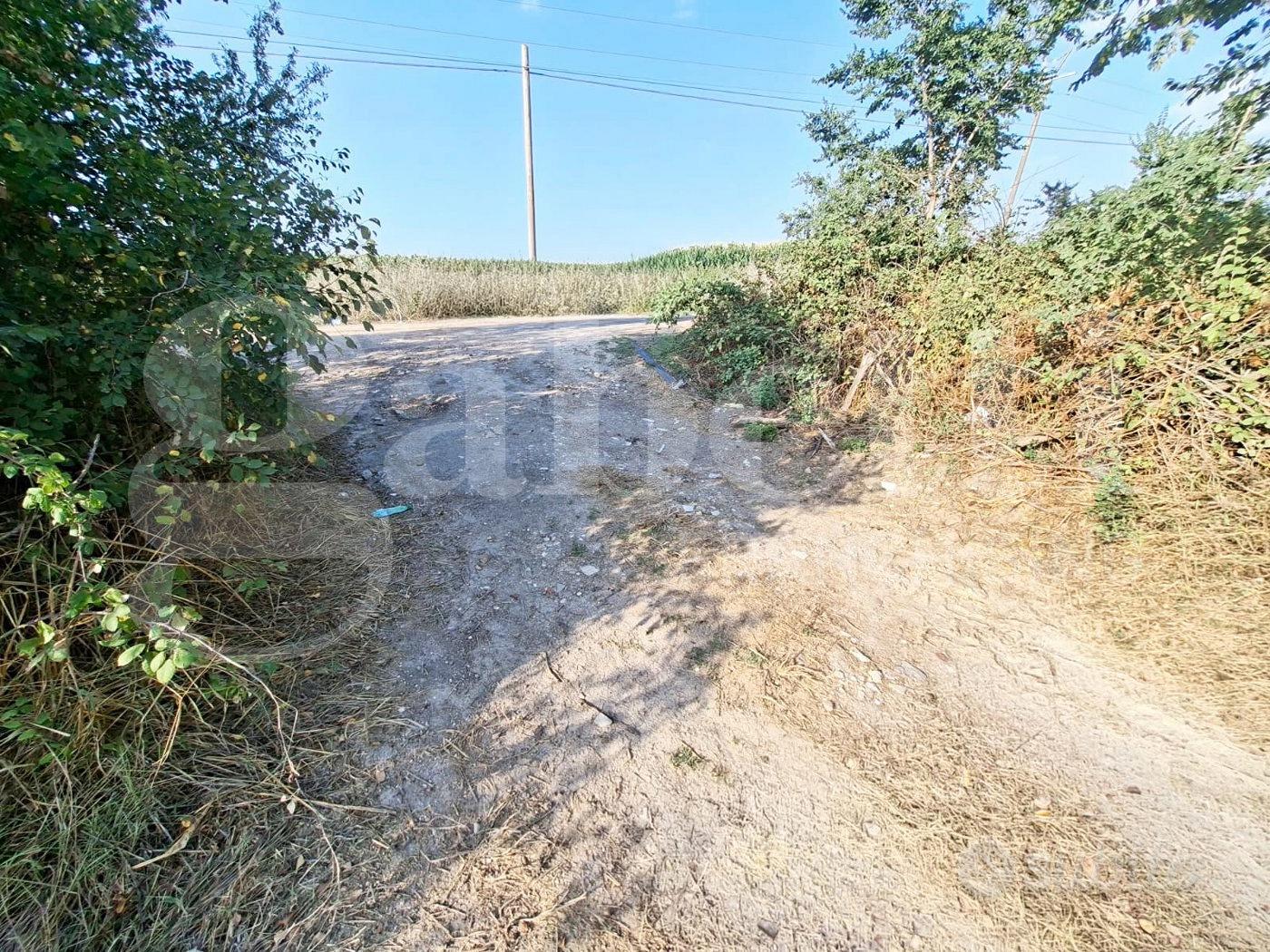 Terreno Agricolo Santa Maria la Fossa - Vista 5