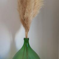 Vaso damigiana con erba di Pampa naturale