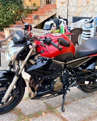 Yamaha XJ6 06/2011 TRATTABILE