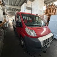 Fiat Ducato cassonato