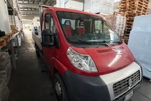Fiat Ducato cassonato