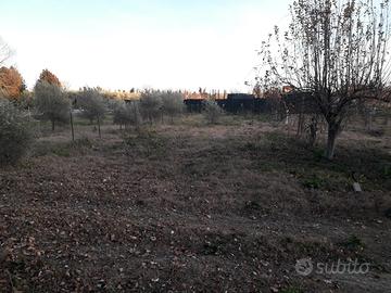 Terreno agricolo