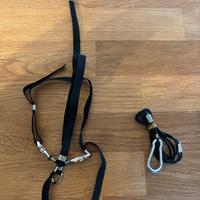 PETTORINA PAPPAGALLO