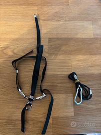 PETTORINA PAPPAGALLO