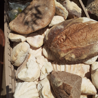 Pane duro per animali