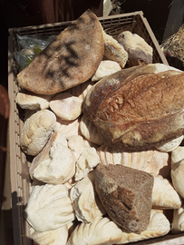 Pane duro per animali