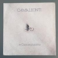 Vinile  I Camaleonti  (45 giri )