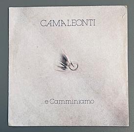 Vinile  I Camaleonti  (45 giri )