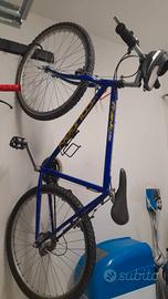 Bicicletta ragazzo adulto 