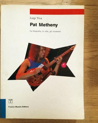 "Pat Metheny" di Luigi Viva 