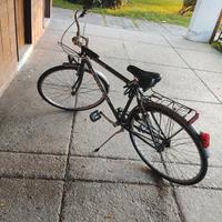 bicicletta da passeggio