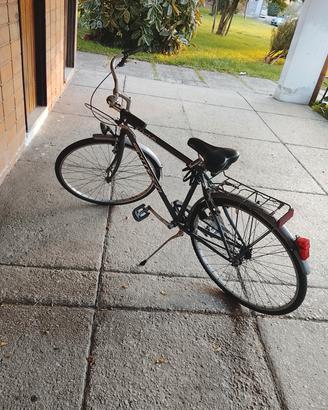 bicicletta da passeggio