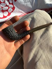 Pipa westminster