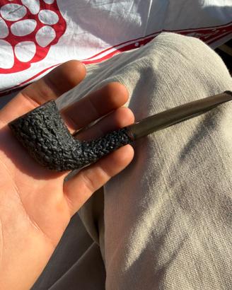 Pipa westminster